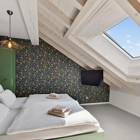Naegeleried - Grosse Galerie-wohnung Mit Balkon, Heimkino, Garten *